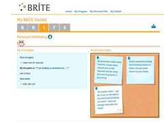 BRiTE modules preview
