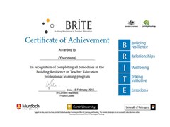 BRiTE modules preview