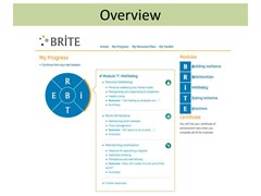 BRiTE modules preview
